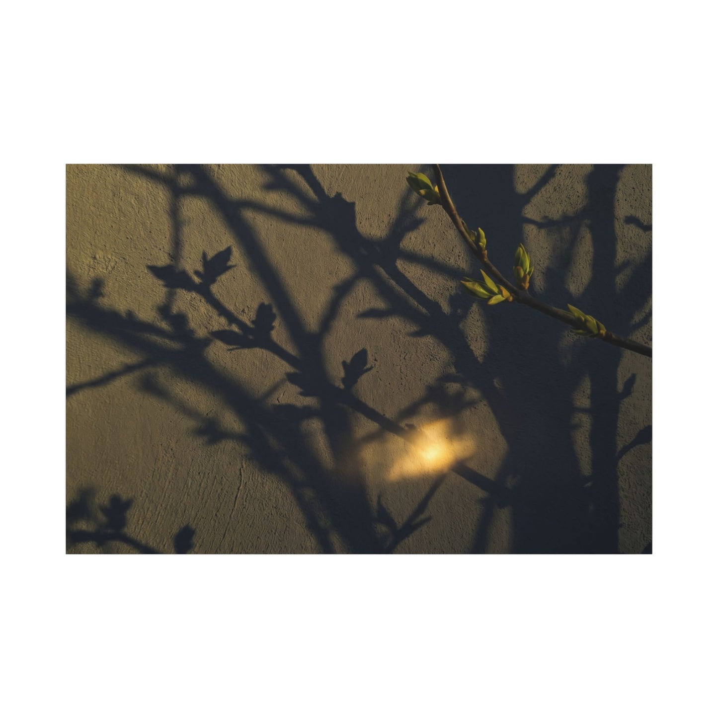 Bold Shadow Play Canvas Art - Moody Minimal Dark Japandi