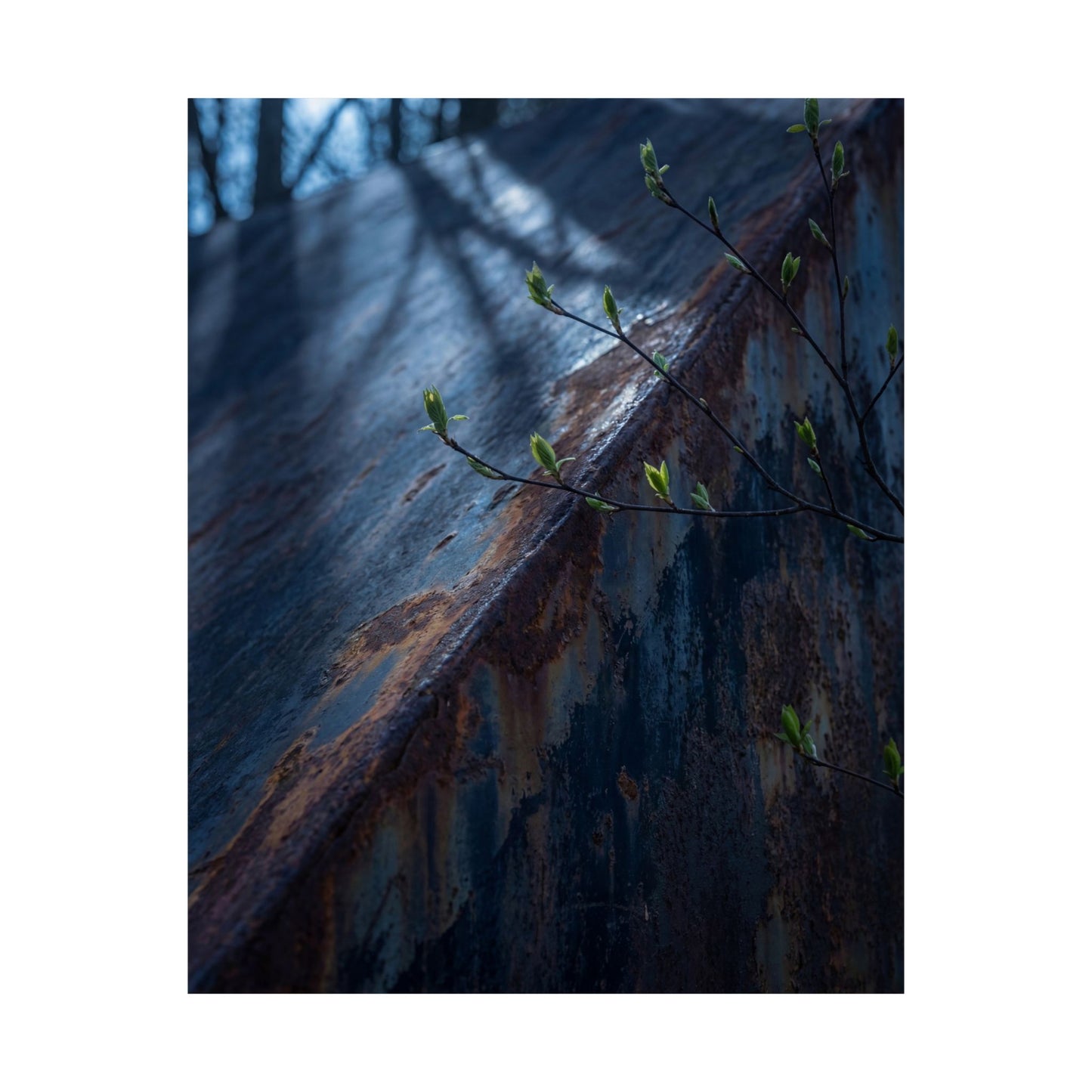 Moonlight Rust Patina Wall Art Print - Dark Japandi Fukinsei