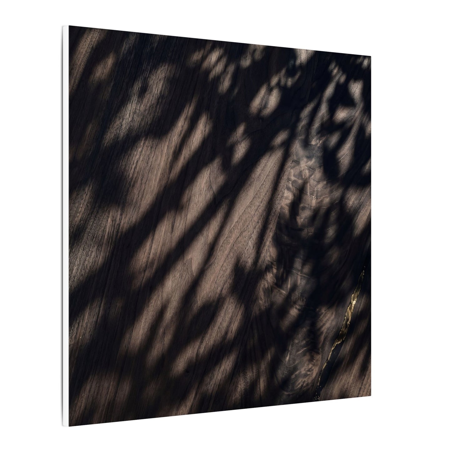 Shadow Play Summer Canvas Art | Dark Japandi Moody Design