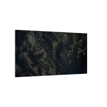Overcast Shadow Play Canvas Art - Dark Japandi Seijaku