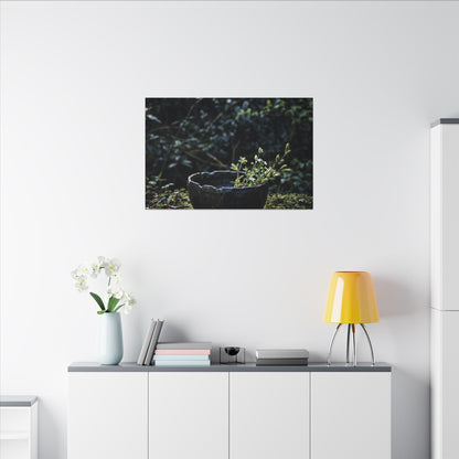 Dappled Ceramic Bowl Canvas Art - Dark Japandi Datsuzoku