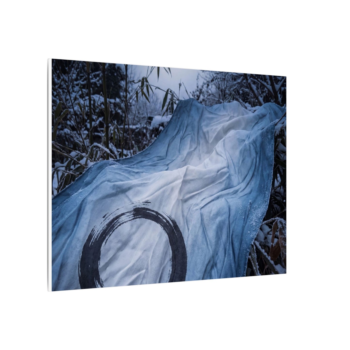 Moonlight Silk Drape Canvas Art - Zen Datsuzoku