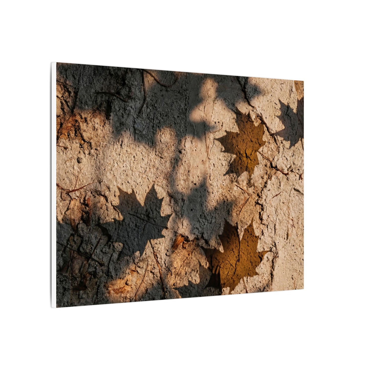 Cozy Shadow Play Canvas Art - Texture Japandi