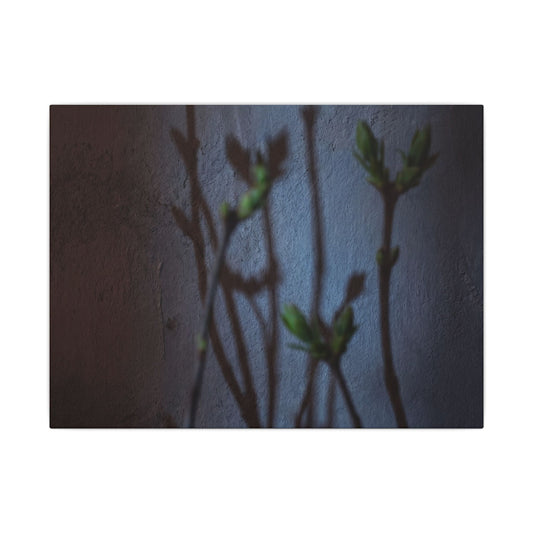 Shadow Play Spring Canvas Art | Dark Japandi Sophisticated Design