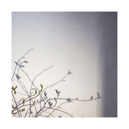 Japandi Shadow Play in Dawn | Japanese Pattern Wall Art Print