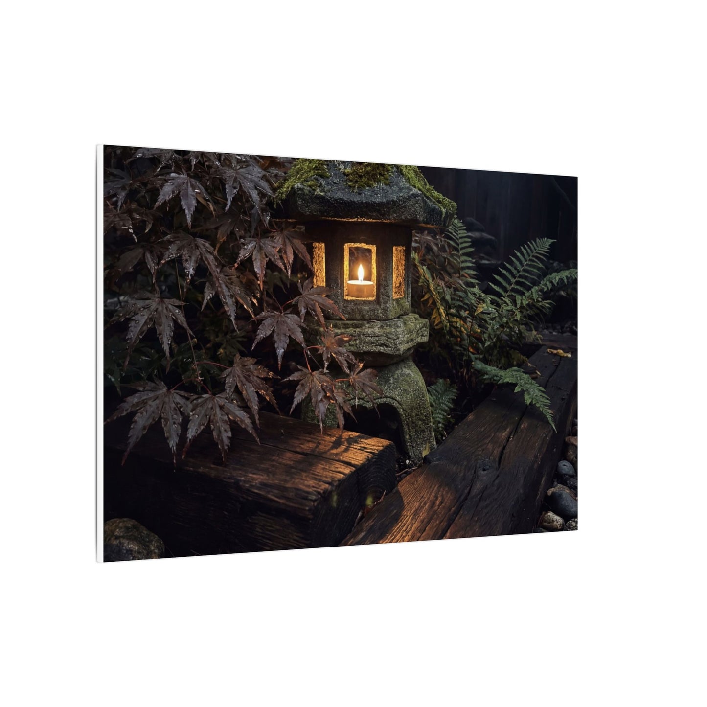 Moody Moonlit Garden Canvas Art - Shadow Zen Dark Japandi