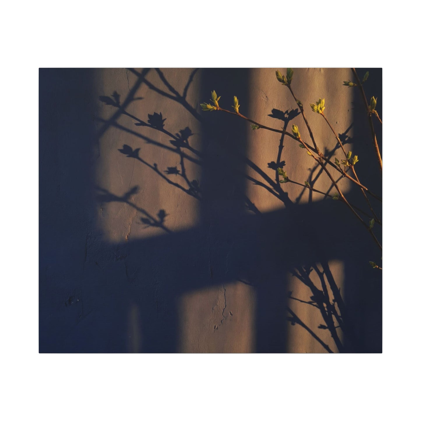 Shadow Play Canvas Art | Spring Dark Japandi Shadow Zen Art