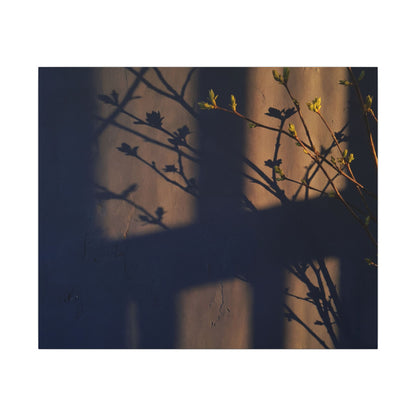 Shadow Play Canvas Art | Spring Dark Japandi Shadow Zen Art