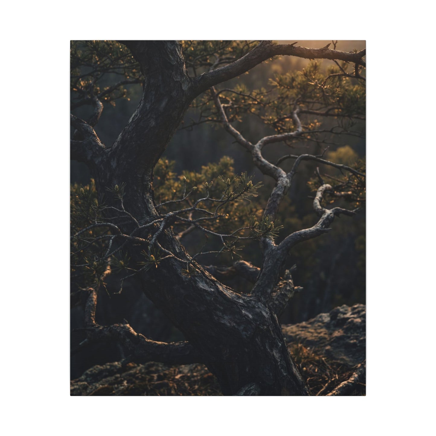 Moody Pine Tree Canvas Art - Moody Minimal Dark Japandi