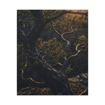 Moody Pine Tree Canvas Art - Moody Minimal Dark Japandi