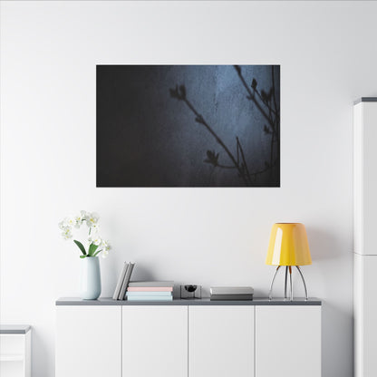 Shadow Play Canvas Art | Spring Dark Japandi Moody Minimal Art