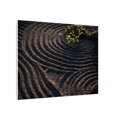 Spring Rock Garden Shadow Zen Canvas Art | Atmospheric Decor