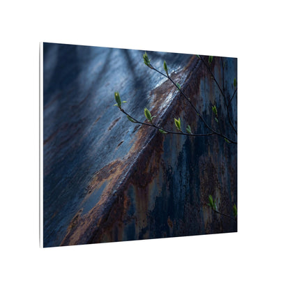 Rust Patina Canvas Art | Spring Dark Japandi Shadow Zen Art