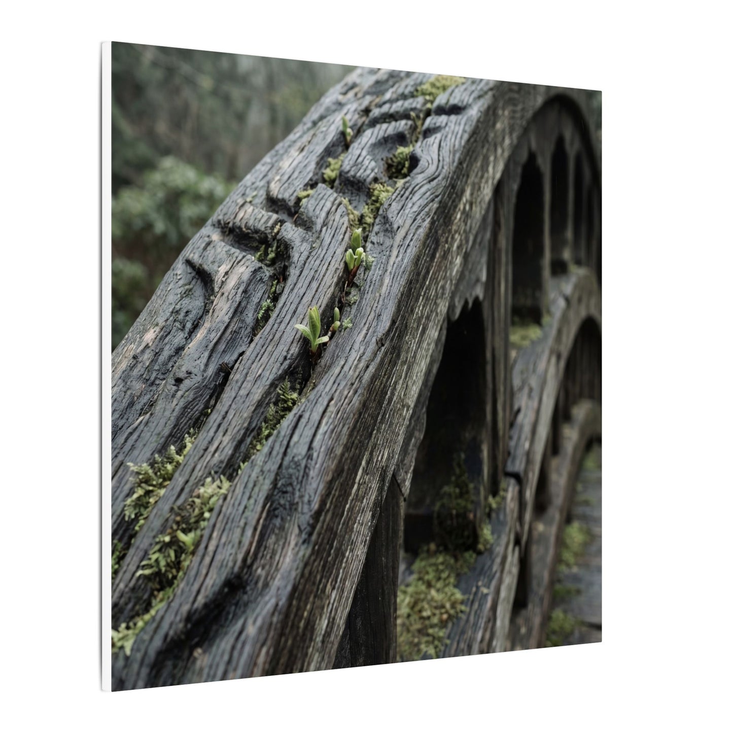 Overcast Wooden Bridge Canvas Art - Japandi Kanso