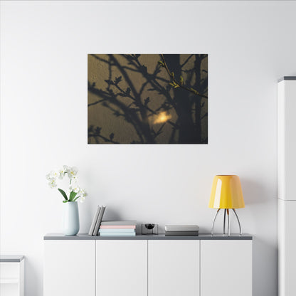 Bold Shadow Play Canvas Art - Moody Minimal Dark Japandi
