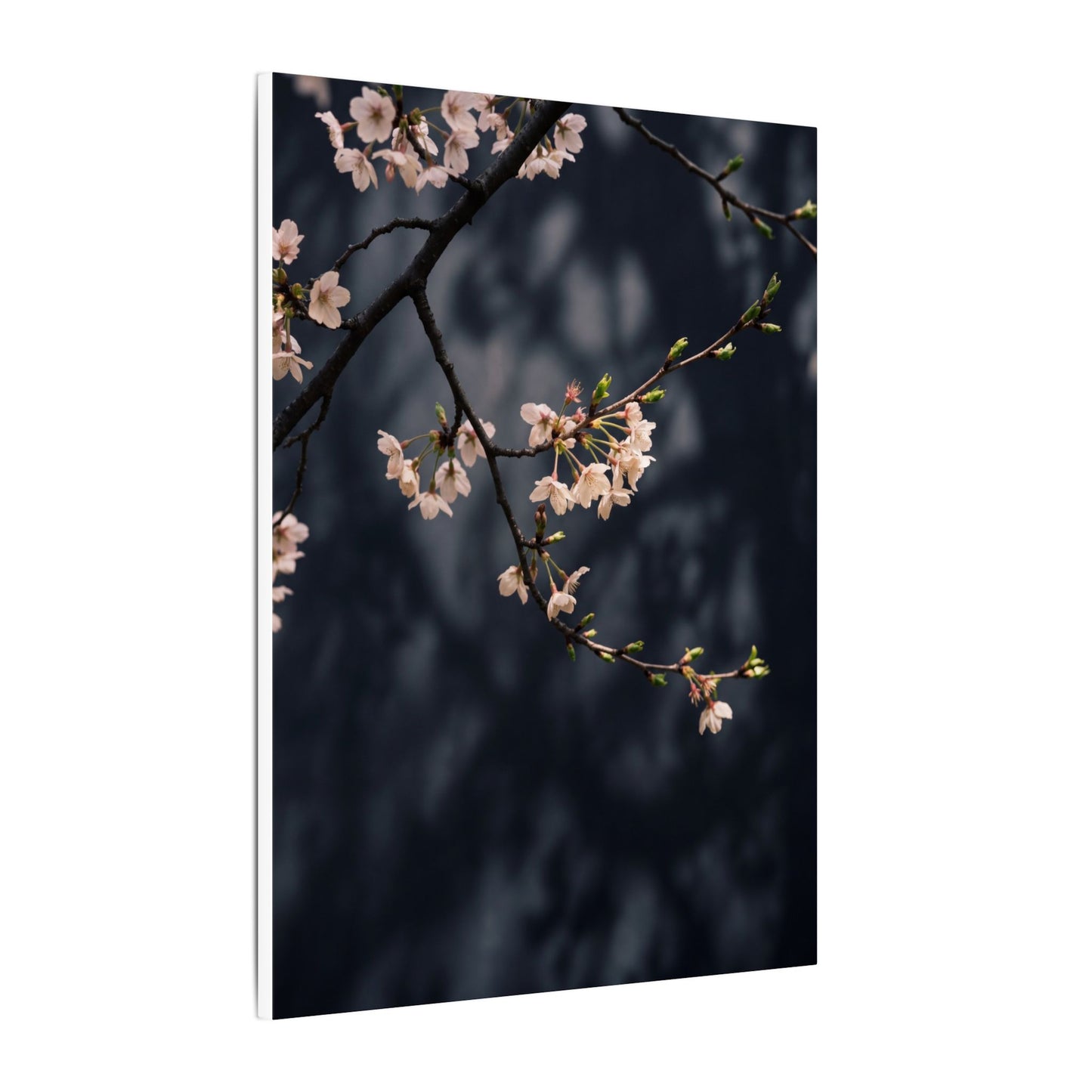 Cherry Blossom Moody Minimal Canvas Art | Bold Dark Japandi Art