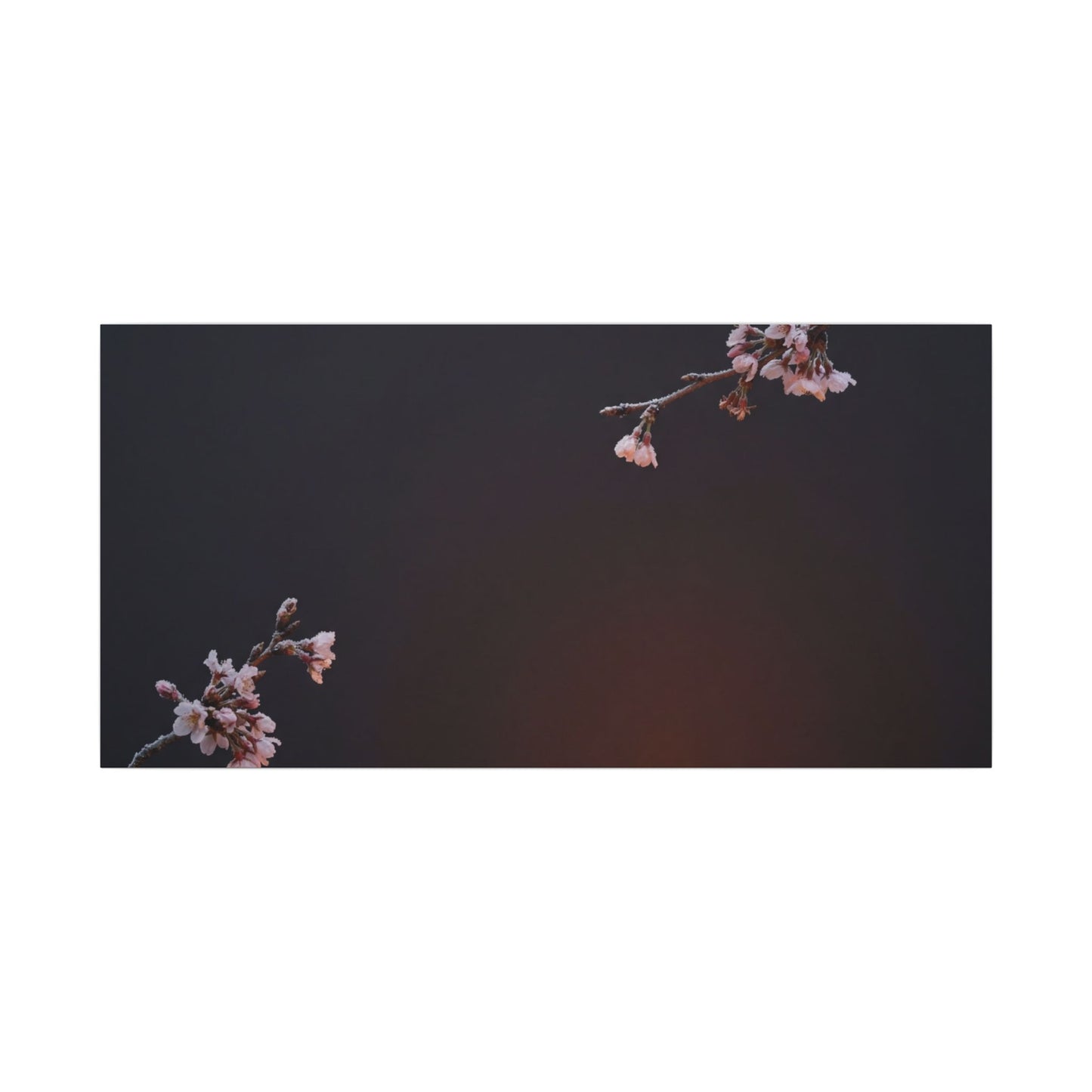 Dark Japandi Cherry Blossom in Candlelight | Moody Minimal Canvas Art