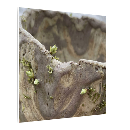 Overcast Ceramic Bowl Canvas Art - Japandi Fukinsei