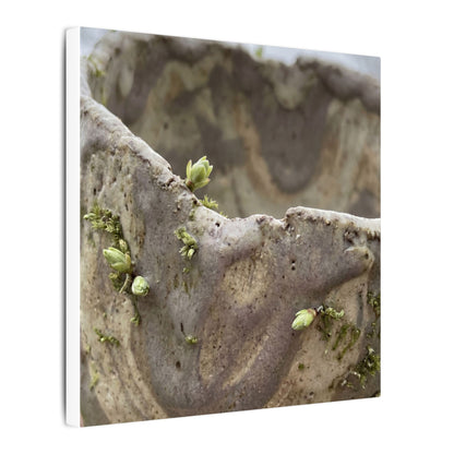 Overcast Ceramic Bowl Canvas Art - Japandi Fukinsei
