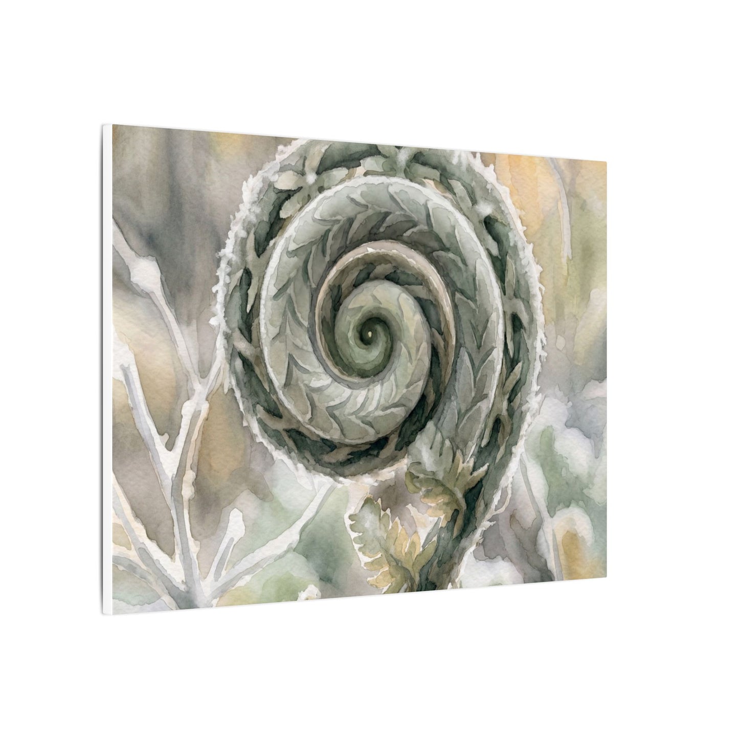 Winter Fern Unfurling Watercolor Canvas Art | Cozy Decor