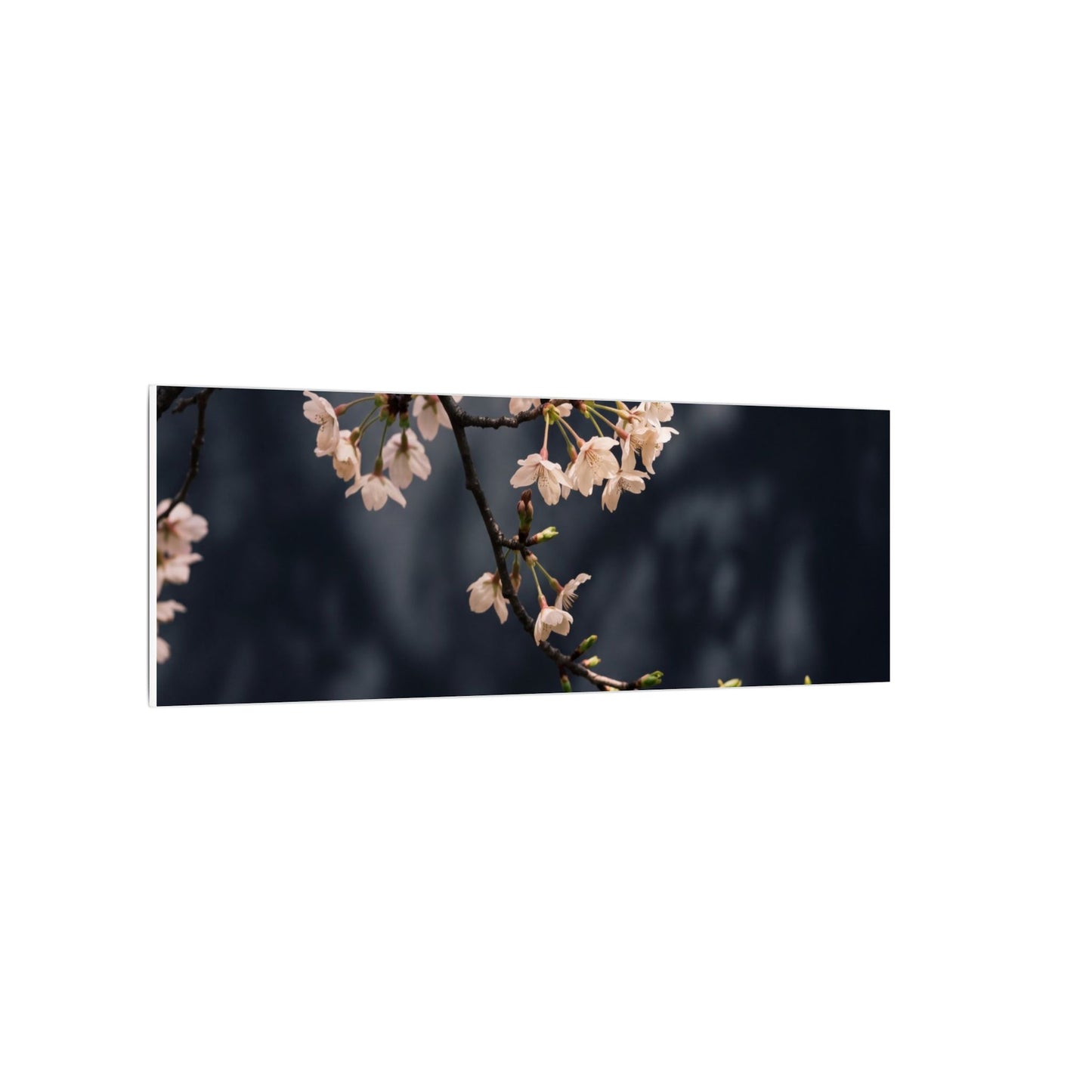 Cherry Blossom Moody Minimal Canvas Art | Bold Dark Japandi Art