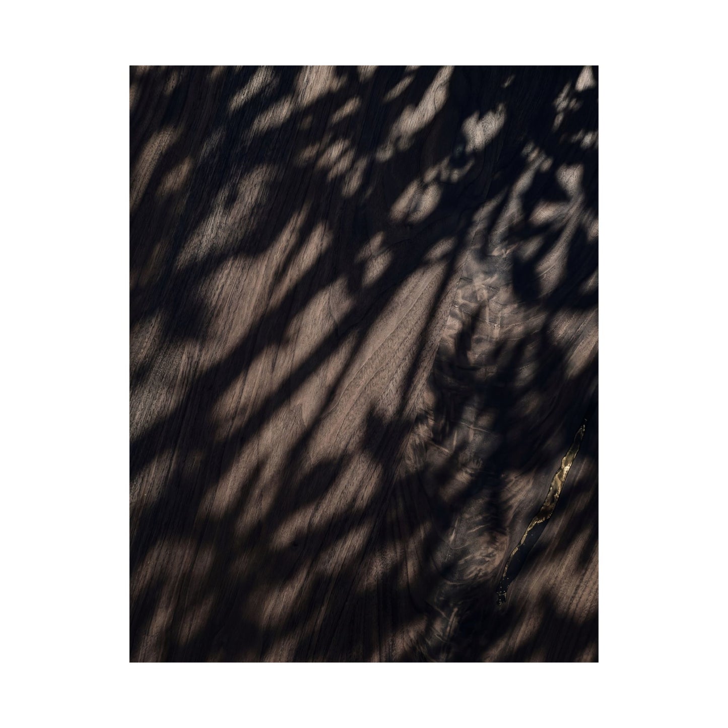 Datsuzoku Shadow Play Wall Art Print - Dark Japandi Shadow Zen