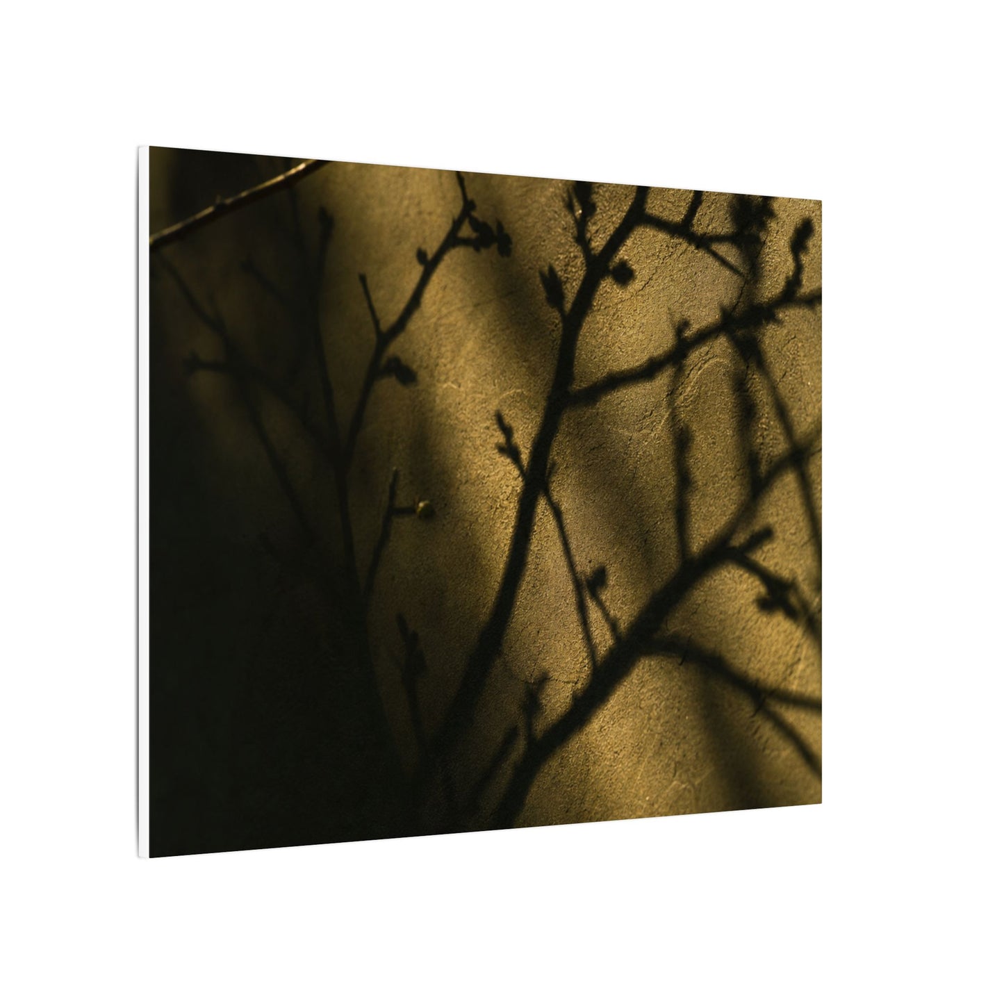 Golden Hour Shadow Play Canvas Art - Dark Japandi Seijaku