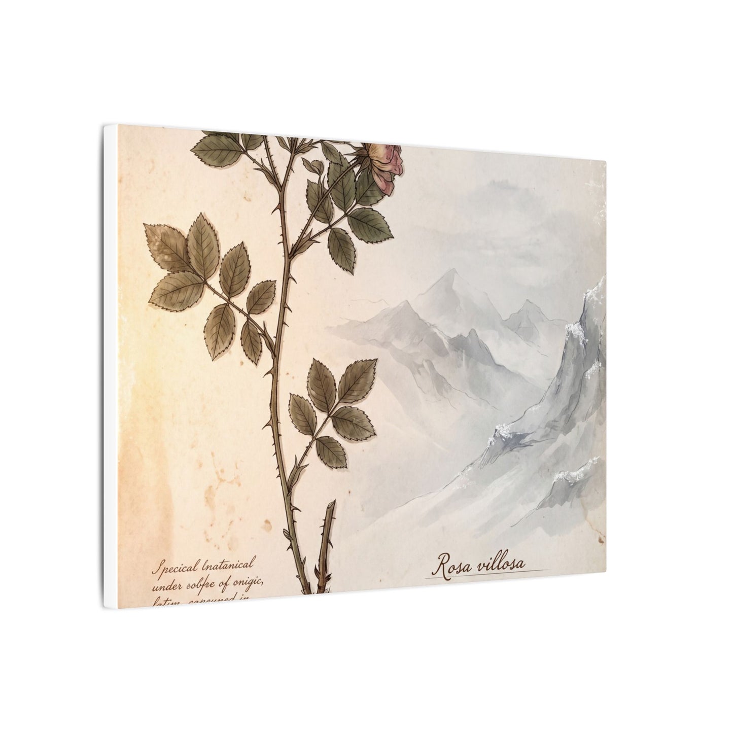 Winter Mountain Mist Herbarium Canvas Art | Earthy Decor