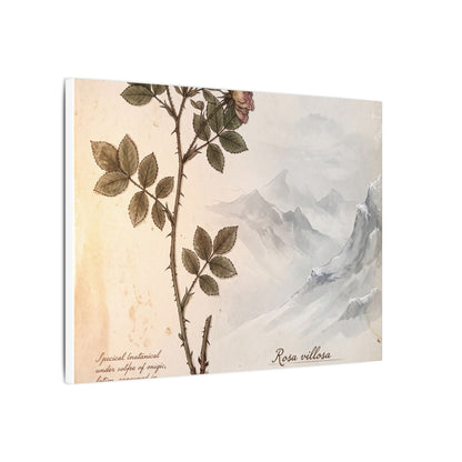 Winter Mountain Mist Herbarium Canvas Art | Earthy Decor