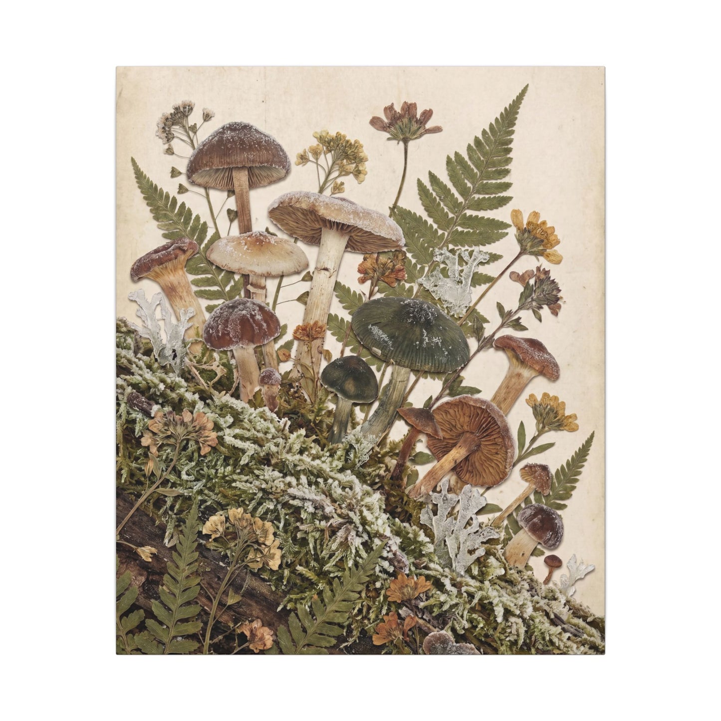 Winter Wild Mushrooms Herbarium Canvas Art | Enchanting Decor