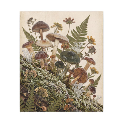 Winter Wild Mushrooms Herbarium Canvas Art | Enchanting Decor