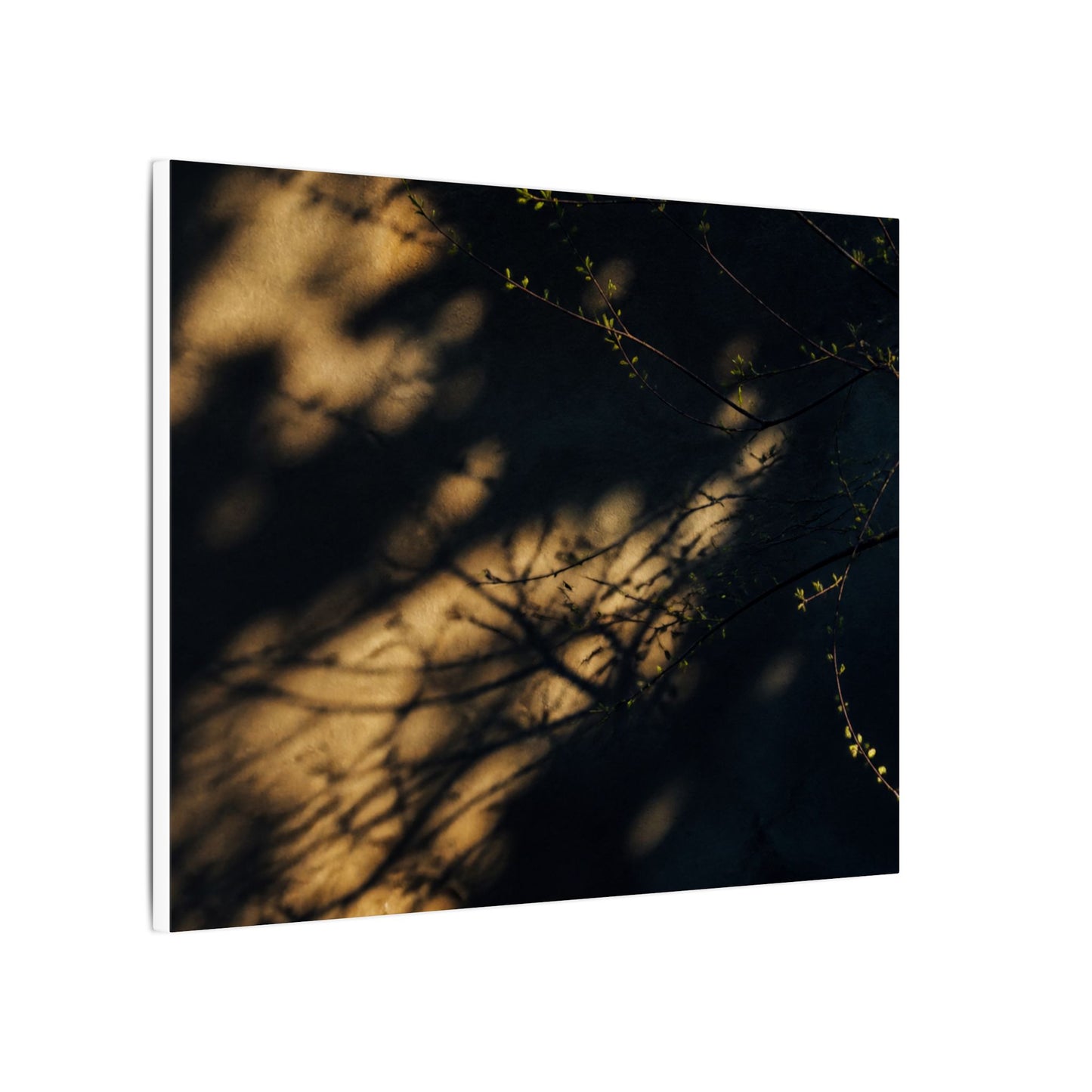 Moody Shadow Play Canvas Art - Moody Minimal Dark Japandi