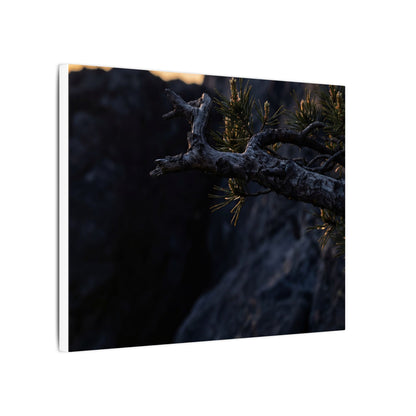 Pine Tree Moody Minimal Canvas Art | Sophisticated Dark Japandi Art