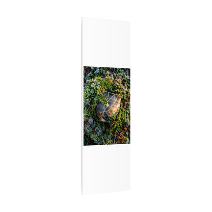Artful Moss Close Up Canvas Art - Gold Repair Kintsugi