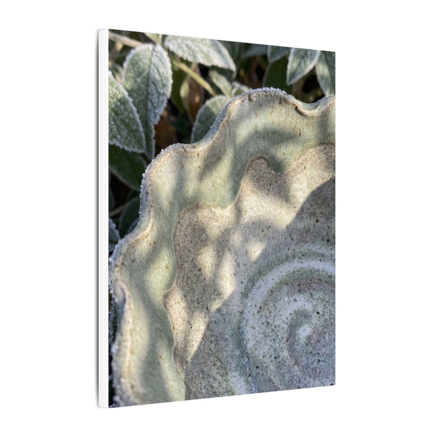 Dappled Ceramic Bowl Canvas Art - Japandi Seijaku