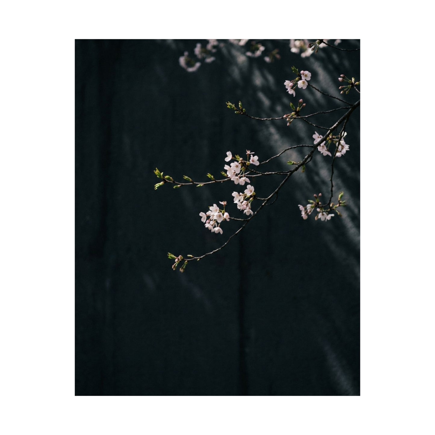 Shoji Screen Wall Art Print | Winter Japandi Texture Art