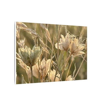 Summer Dried Flowers Minimal Line Canvas Art | Cozy Decor