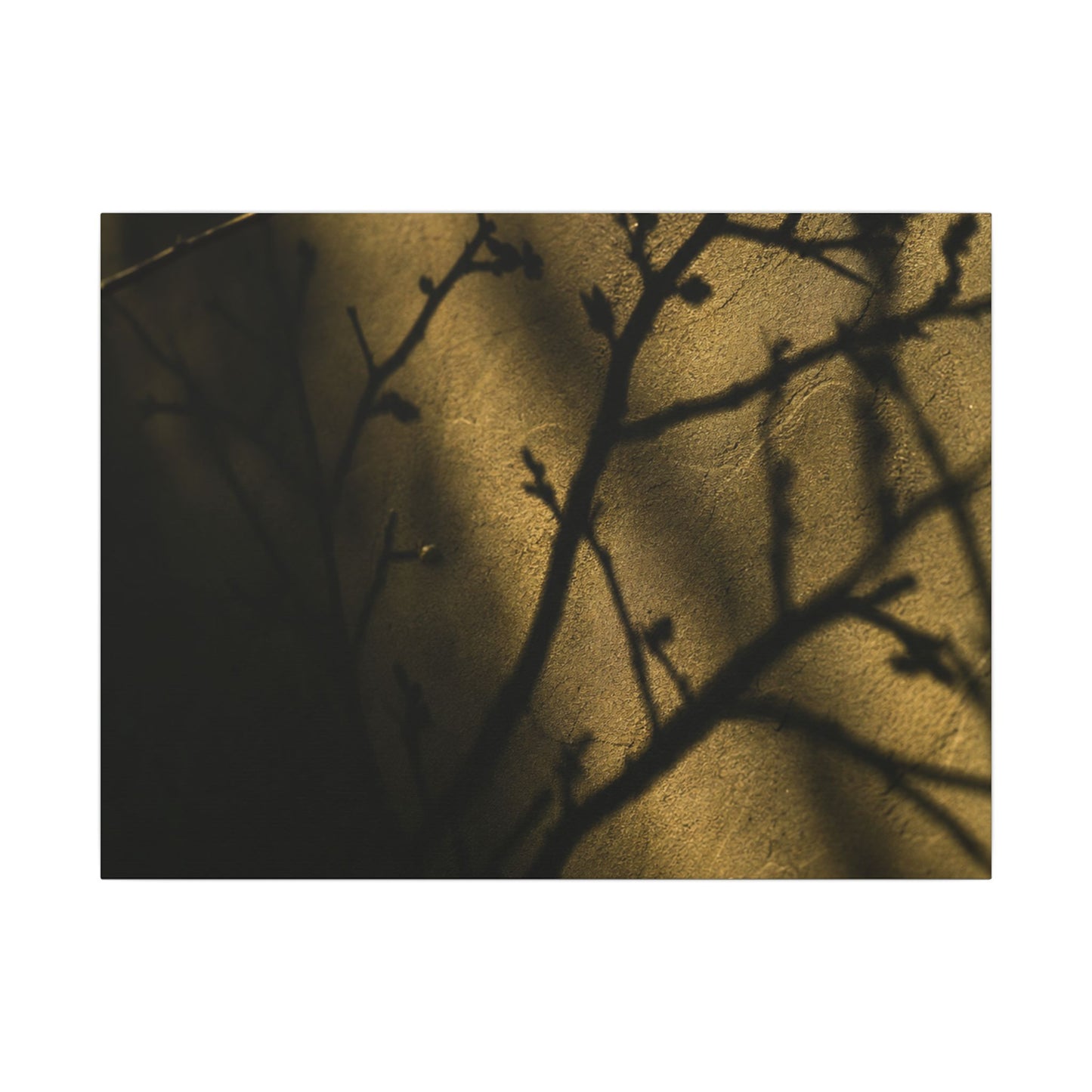 Golden Hour Shadow Play Canvas Art - Dark Japandi Seijaku