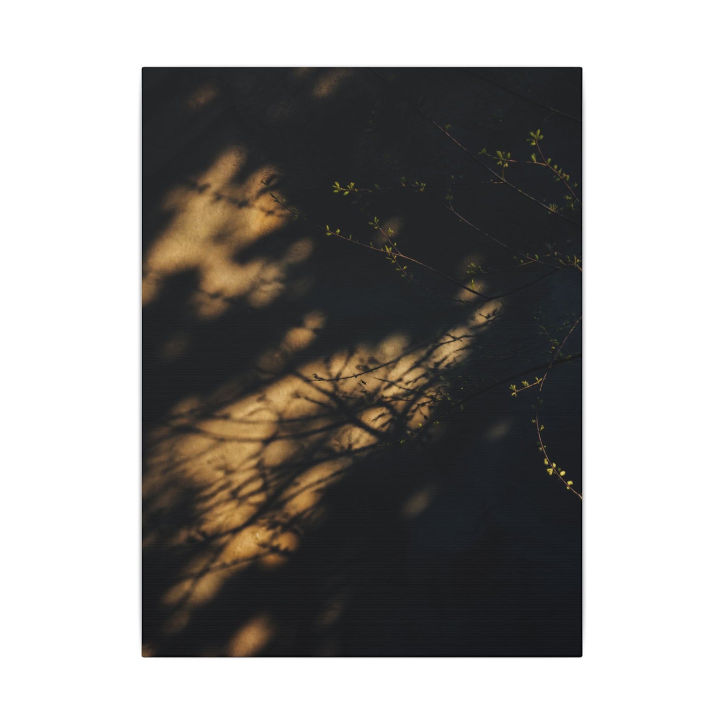 Moody Shadow Play Canvas Art - Moody Minimal Dark Japandi