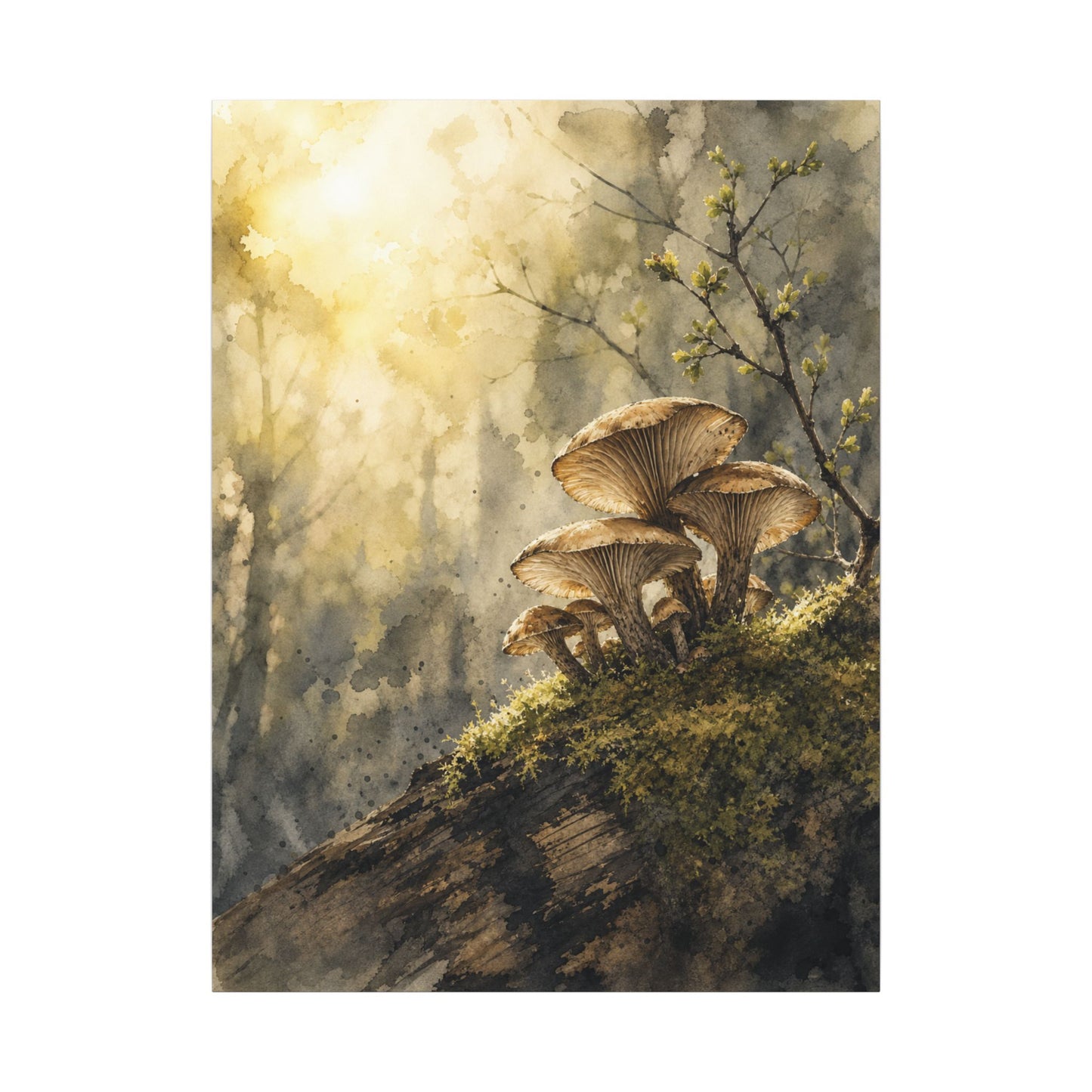 Wild Mushrooms Canvas Art | Spring Japandi Watercolor Art