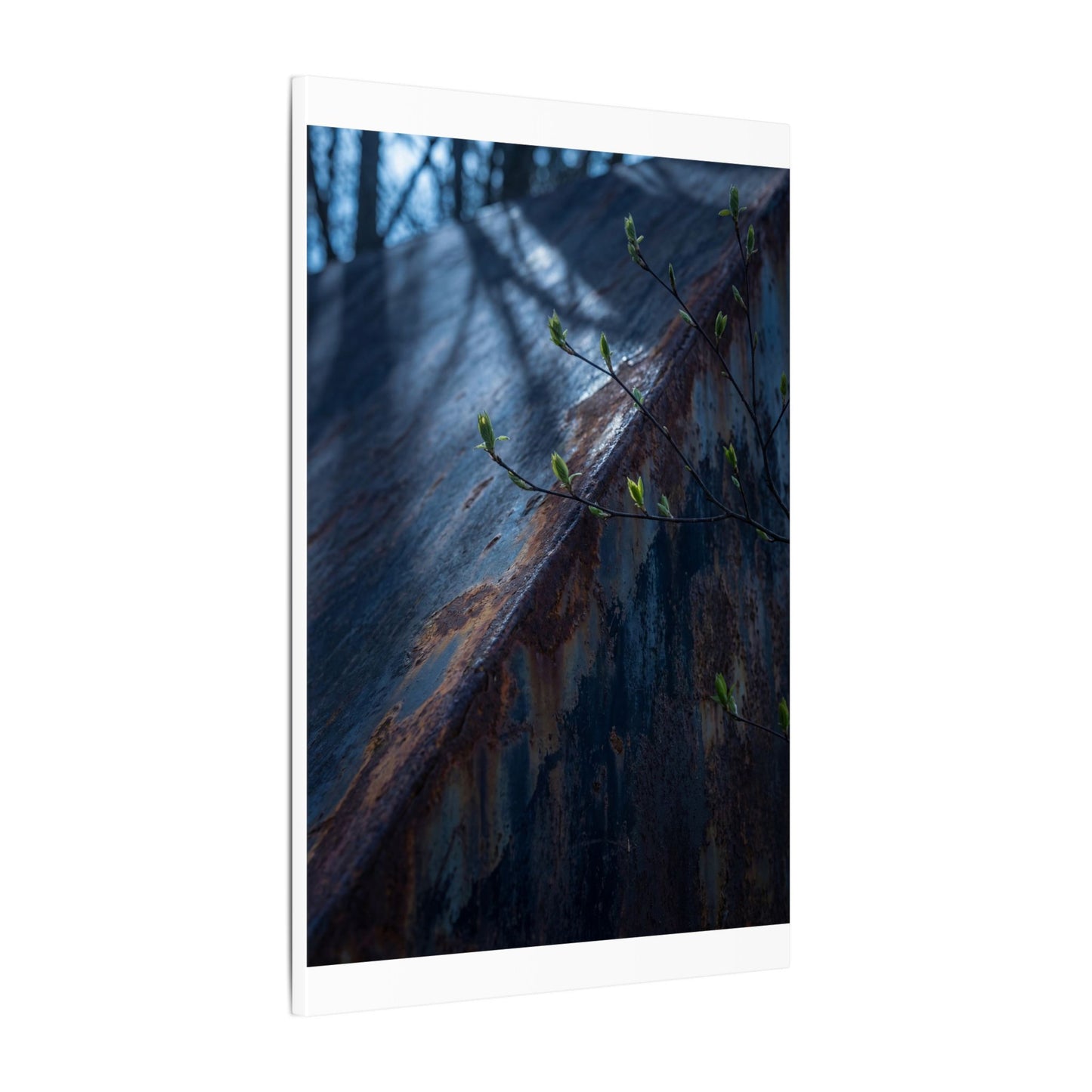 Rust Patina Canvas Art | Spring Dark Japandi Shadow Zen Art