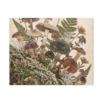 Winter Wild Mushrooms Herbarium Canvas Art | Enchanting Decor