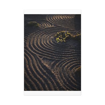 Spring Rock Garden Shadow Zen Canvas Art | Atmospheric Decor