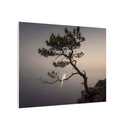 Dawn Pine Tree Canvas Art - Dark Japandi Datsuzoku