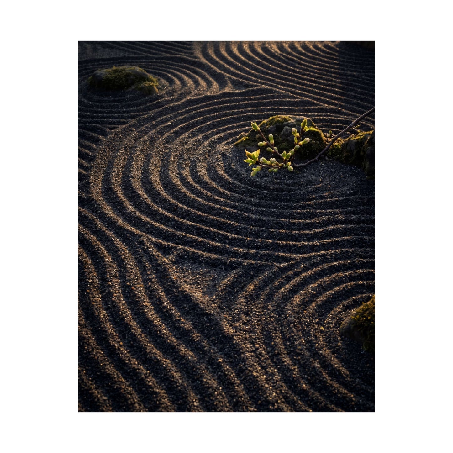 Rock Garden Shadow Zen Wall Art Print | Atmospheric Dark Japandi Art