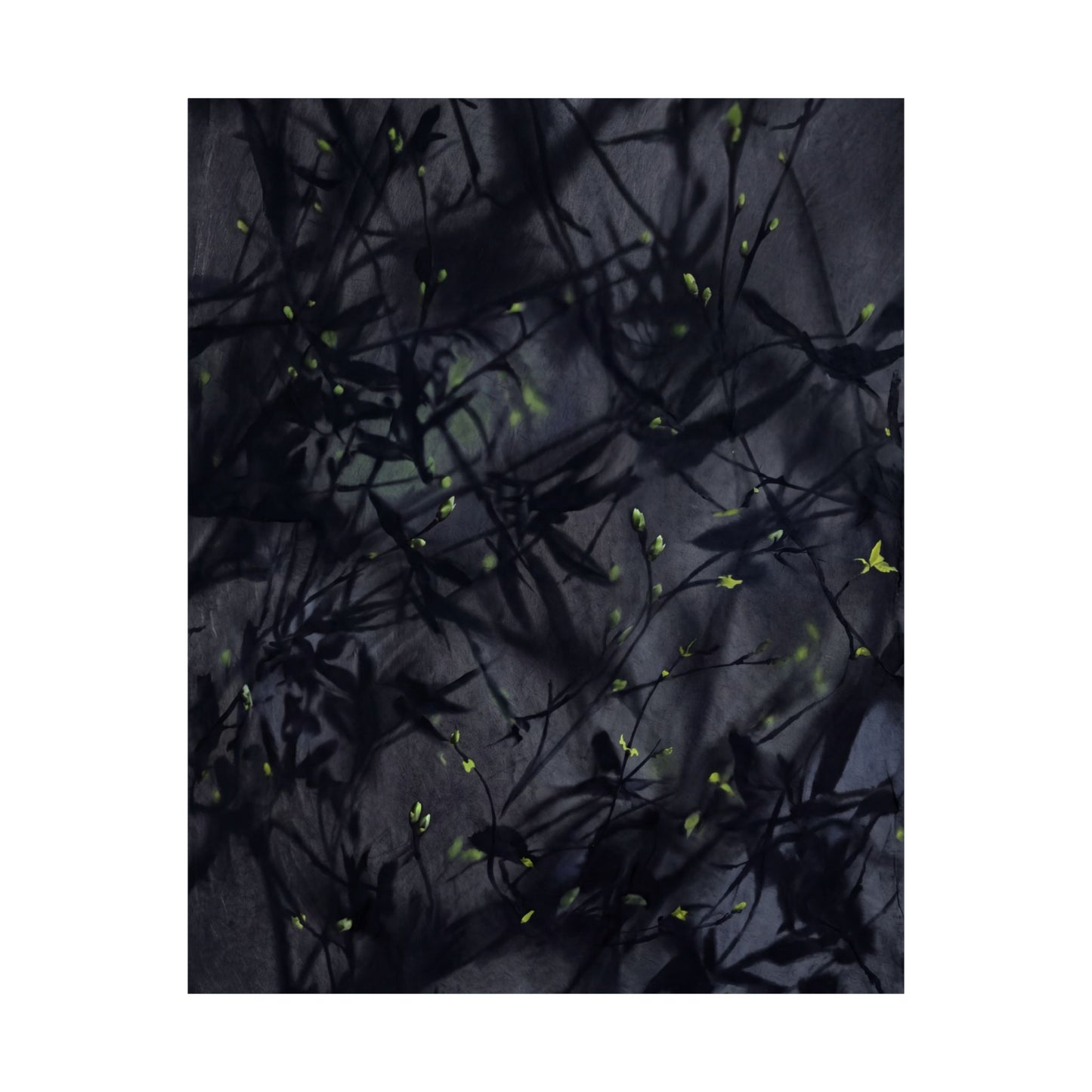 Atmospheric Shadow Play Wall Art Print - Shadow Zen Dark Japandi