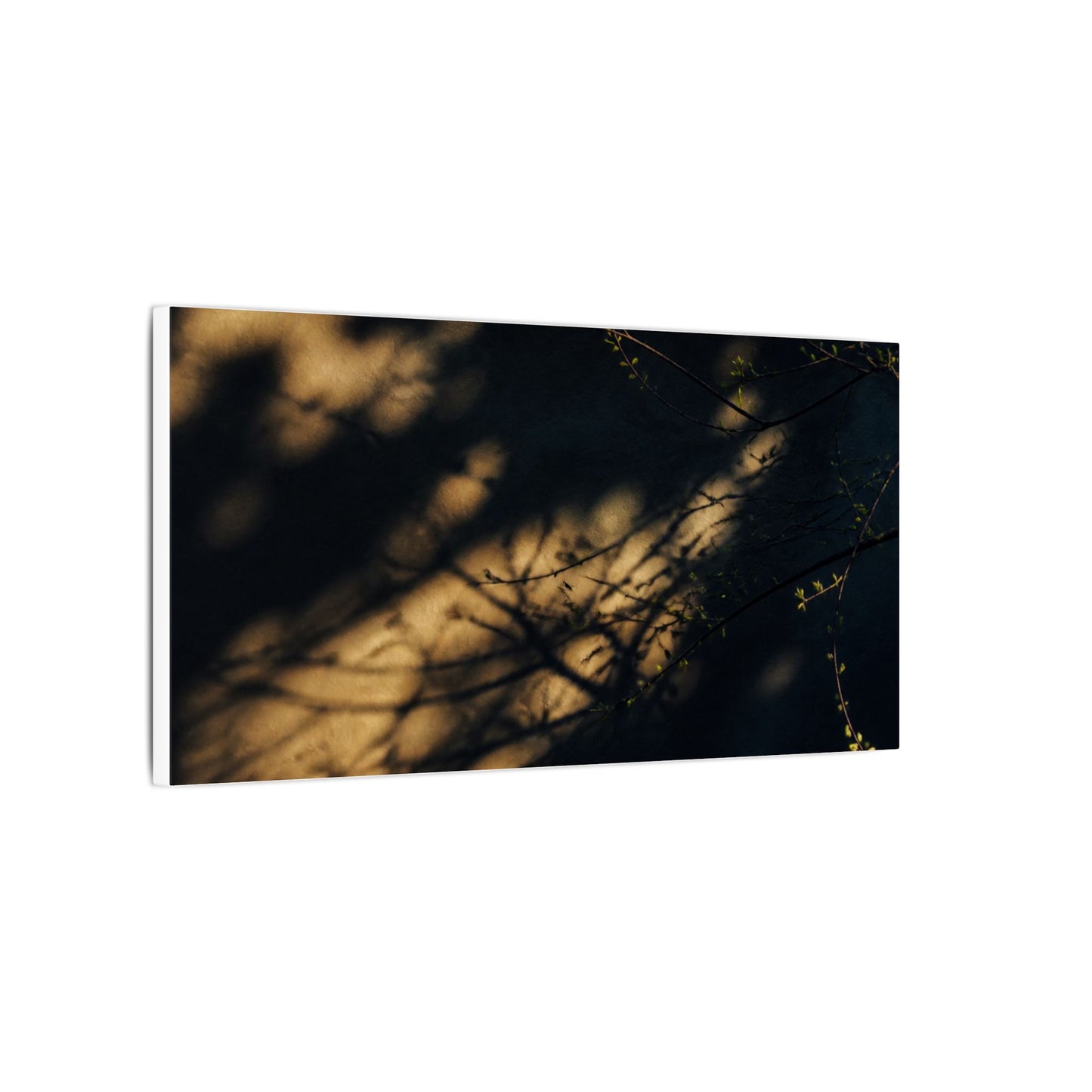 Moody Shadow Play Canvas Art - Moody Minimal Dark Japandi