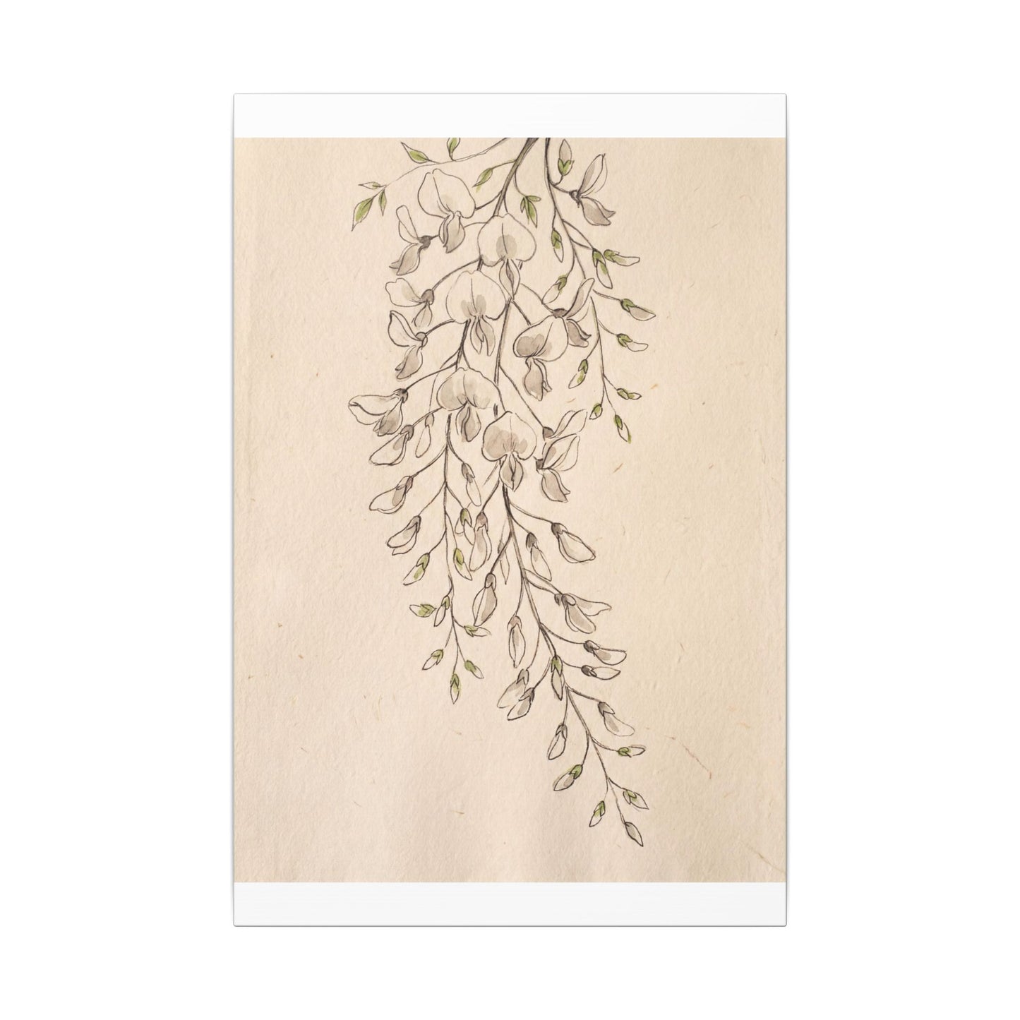 Japandi Wisteria in Golden Hour | Minimal Line Canvas Art