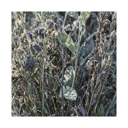 Dried Flowers Winter Wall Art Print | Japandi Neutral Design