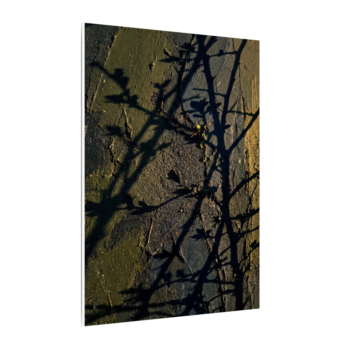 Kanso Shadow Play Canvas Art - Dark Japandi Dark Texture